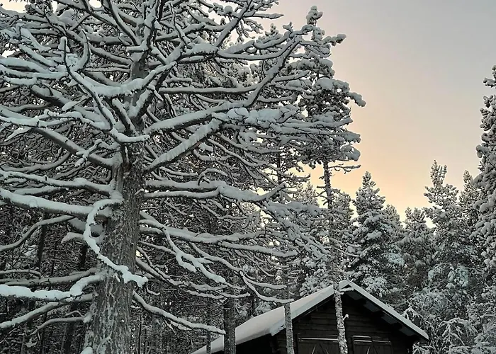 Siulakumpu בקתה *
